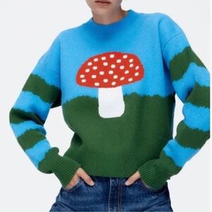 Zara Mushroom Sweater